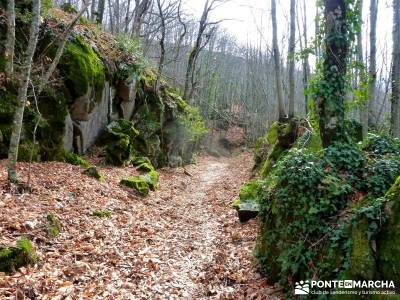 Sierra de Gata, Trevejo,Hoyos,Coria; sierra de gredos agencia de viajes rascafria camino del rey